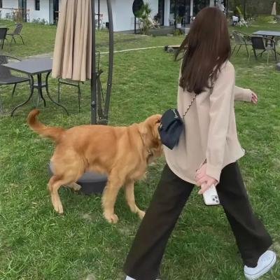 风月靡情